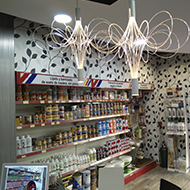 Esco Decoración en León especialistas en pintura decorativa y reformas 